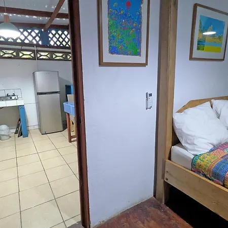 Tree House Beachfront Lodge Puerto Viejo de Talamanca Exterior photo